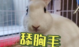 吃瓜爆料抖音网红美女,揭秘瓜田里的时尚达人”